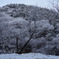 登山口