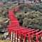元乃隅神社（4）