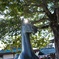 愛宕神社と馬の石像