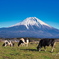 富士山と牛　元旦