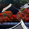 秋の絶景かな絶景かな(南禅寺三門楼上)