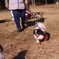 狆の小金井公園お散歩友の会(20220109)