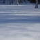   winter scenery