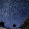 三本の木と星空