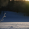 Winter candle