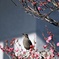 初春花鳥