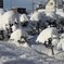 雪こんもり