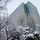 雪樹とビル