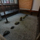 建仁寺・小書院の坪庭