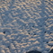 雪紋