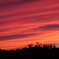 桂川夕日