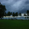 borneo003