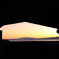 夕焼けハウス