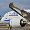 ANA 431