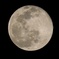 2022_0118_wolfmoon_1