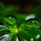 Waterdrop