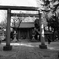 神社へ参る人たち