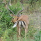 photo_1088093