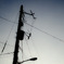電柱