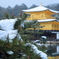 雪の金閣寺
