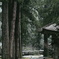 雨の永平寺