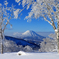 樹氷と羊蹄山