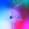 心海ｄｒｏｐｓ