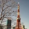 Tokyo Tower