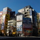 akiba