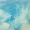 青空散歩