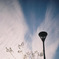 冬の空