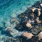 Lured by Blue Shore