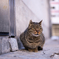 NIKKOR #Z50mm f/1.8 S