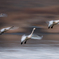 Water landing