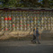 神社と人①