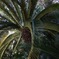 R0000356