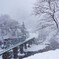 雪やこんこ