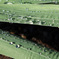 tar2009020803