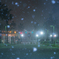 浦安雪景色 総合公園