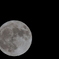２０１１　０３　１９　