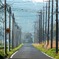 電柱のある道・・