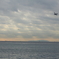 雲、飛行機、船、海、島