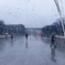 雨の上野公園