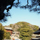 鶴岡八幡宮