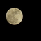 007３月１９日　１９時４５分