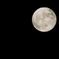 015３月１９日　２３時