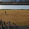 それぞれの河川敷