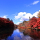 軽井沢雲場池