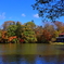 軽井沢塩沢湖の紅葉