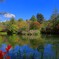 軽井沢雲場池の紅葉